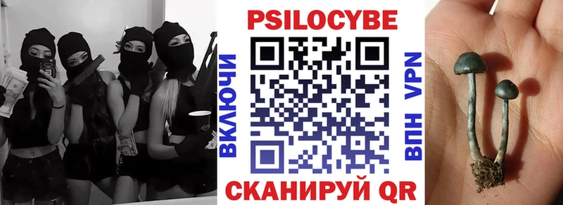 сколько стоит KRAKEN ссылка Галлюциногенные грибы прущие грибы Холм